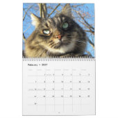Maine-Waschbär-Katzen-Kalender Kalender (Feb 2027)