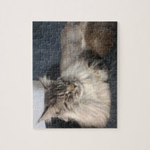 Maine-Waschbär-Katzen-Puzzle