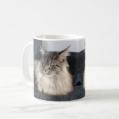 Maine-Waschbär-Katzen-Tasse Kaffeetasse (Vorderseite Links)