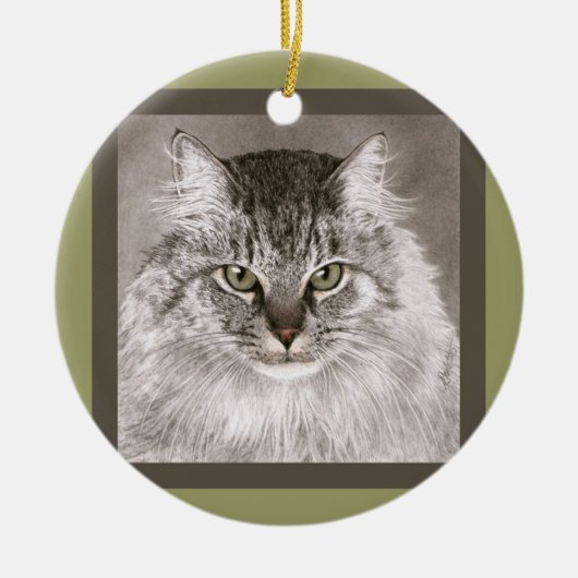 Maine-Waschbär-Katzen-Verzierung - "MERLIN " Keramik Ornament (Vorne)