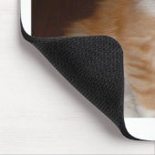 Maine-Waschbär kitten.png Mousepad (Ecke)