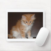 Maine-Waschbär kitten.png Mousepad (Mit Mouse)