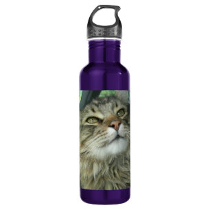Maine-Waschbär-Miezekatze Edelstahlflasche