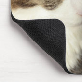 Maine-Waschbär-Miezekatze Mousepad (Ecke)