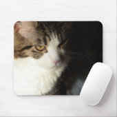 Maine-Waschbär-Miezekatze Mousepad (Mit Mouse)