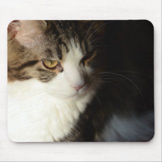 Maine-Waschbär-Miezekatze Mousepad