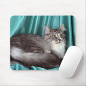 Maine-Waschbär, silberner Tabby Mousepad (Mit Mouse)