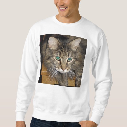 Maine-Waschbär Sweatshirt (Vorderseite)