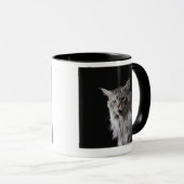 Maine-Waschbärkatze 2 Tasse (VorderseiteRechts)