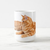 Maine-Waschbärkatze Kaffeetasse (Mittel)
