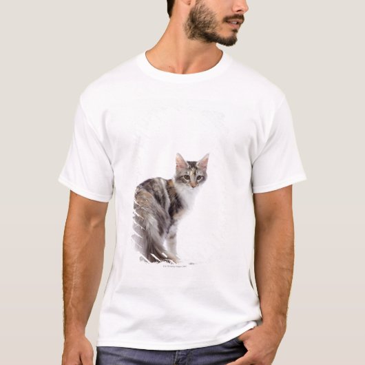 Maine-Waschbärkatze T-Shirt (Vorderseite)