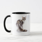 Maine-Waschbärkatze Tasse (Links)
