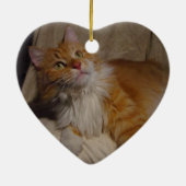 Maine-Waschbärkatze Verzierung Keramik Ornament (Hinten)