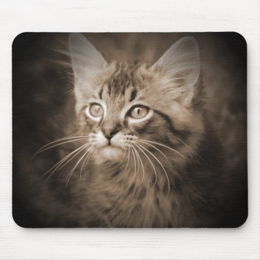 Maine-WaschbärSepia #1 Mousepad (Vorne)