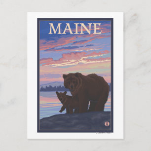 MaineBear und Cub Postkarte