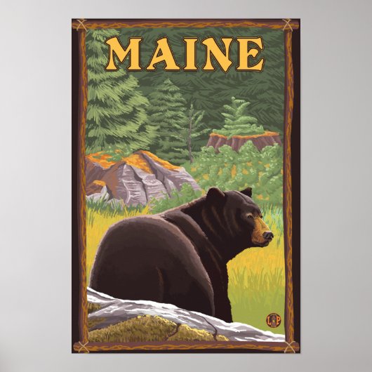 MaineBlack Bear im Wald Poster (Vorne)
