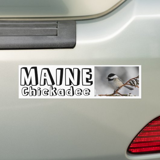 MaineChickadee Autoaufkleber (Auf Auto)