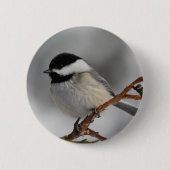 MaineChickadee Button (Vorderseite)