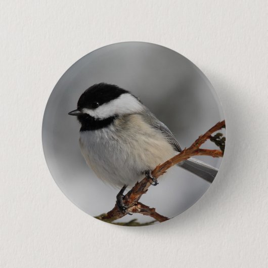 MaineChickadee Button (Vorderseite)