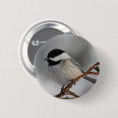MaineChickadee Button (Vorne & Hinten)