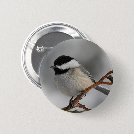 MaineChickadee Button (Vorne & Hinten)