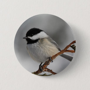 MaineChickadee Button