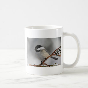 MaineChickadee Kaffeetasse