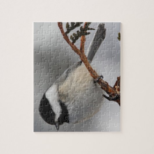 MaineChickadee Puzzle (Vertikal)