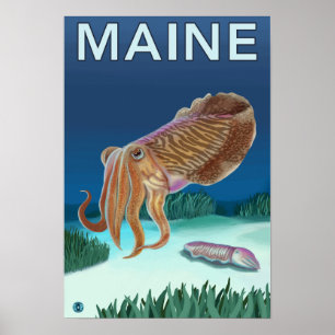 MaineCuttlefish Szene Poster