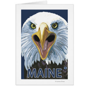 MaineEagle herauf nahes