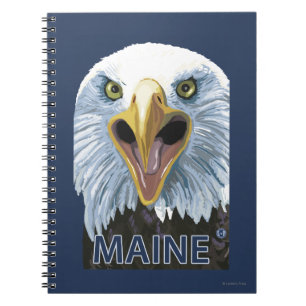 MaineEagle herauf nahes Notizblock