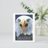 MaineEagle Up Nah Postkarte (Stehend Vorderseite)