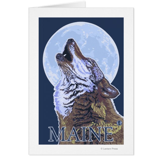 MaineHowling Wolf (Vorne)