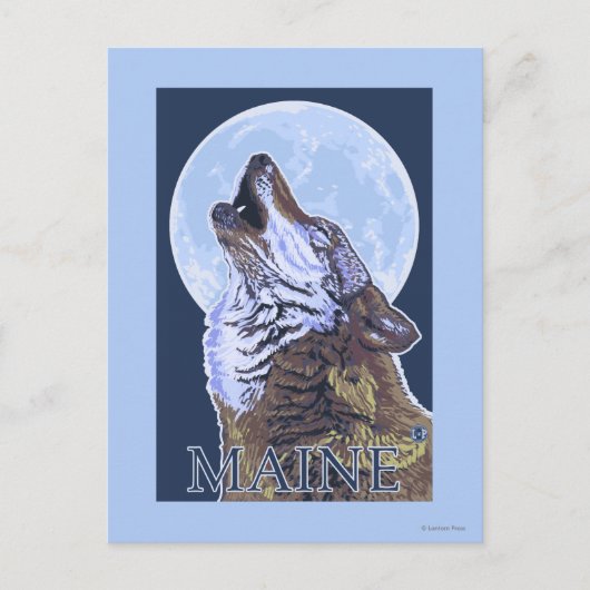 MaineHowling Wolf Postkarte (Vorderseite)