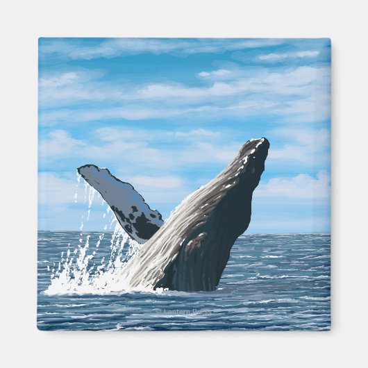 MaineHumpback Whale Scene Magnet (Vorne)