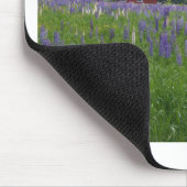 Mainelupines-Feld Stockholm, ICH Mousepad (Ecke)