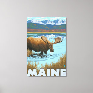 MaineMoose, das im See trinkt Leinwanddruck