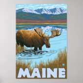 MaineMoose Drinking im See Poster (Vorne)