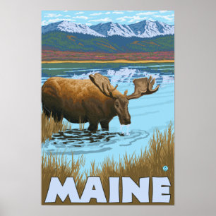 MaineMoose Drinking im See Poster