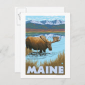 MaineMoose Drinking im See Postkarte (Vorne/Hinten)