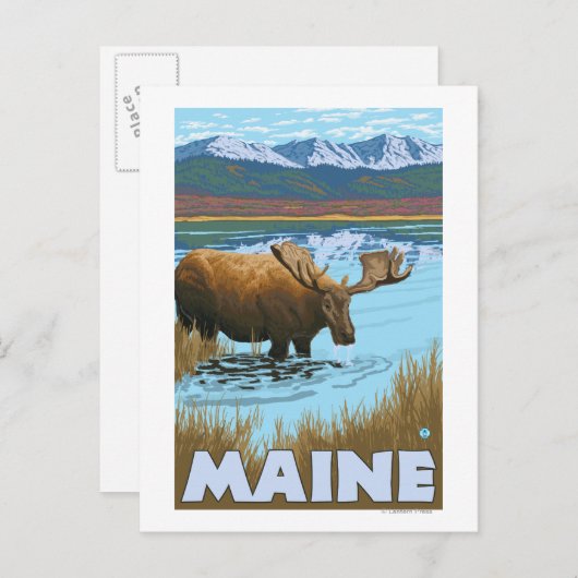 MaineMoose Drinking im See Postkarte (Vorne/Hinten)