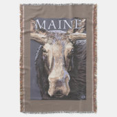MaineMoose herauf nahes Decke (Vorderseite Vertikal)