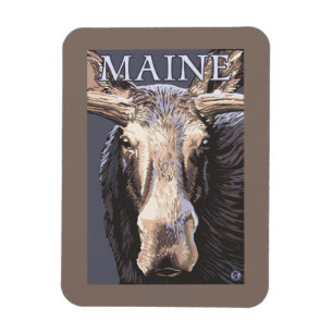MaineMoose herauf nahes Magnet