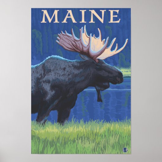 MaineMoose im Mondschein Poster (Vorne)