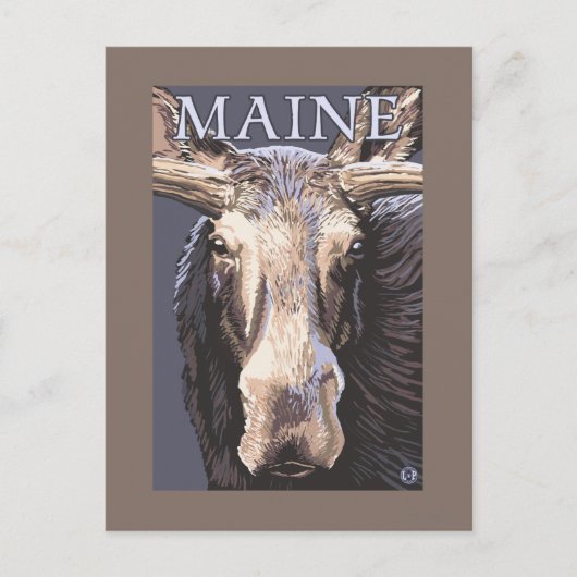 MaineMoose Up Nah Postkarte (Vorderseite)