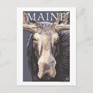 MaineMoose Up Nah Postkarte