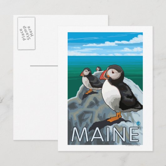 MainePuffins-Szene Postkarte (Vorne/Hinten)