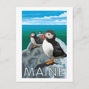 MainePuffins-Szene Postkarte