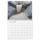 Maine's Puffins: Das Ende des Kalenders 2025 Kalender (Jan 2026)
