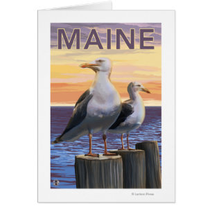 MaineSea betrügt Szene